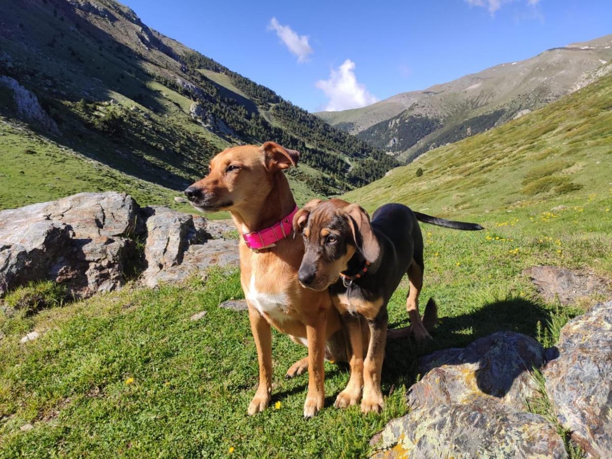 Apartaments Vall De Nuria ケラルブス エクステリア 写真